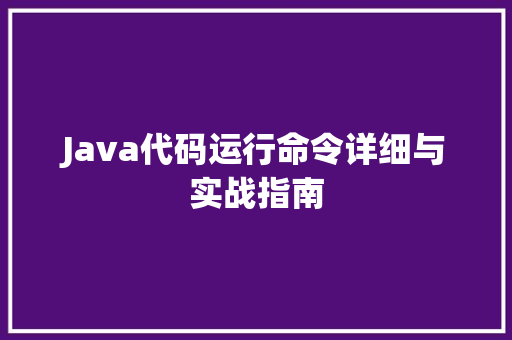 Java代码运行命令详细与实战指南