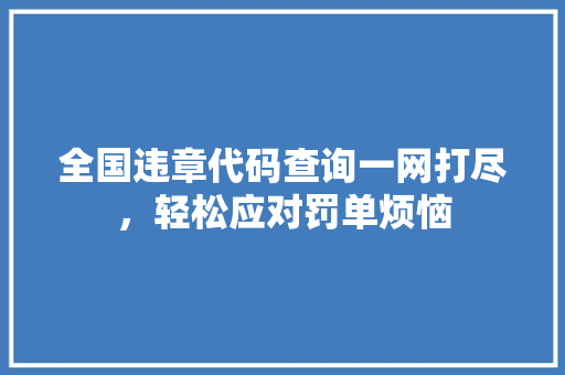 全国违章代码查询一网打尽,轻松应对罚单烦恼