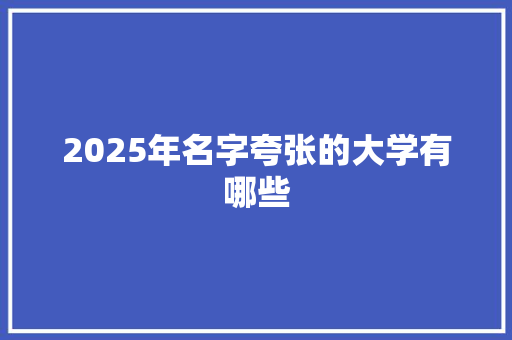 2025年名字夸张的大学有哪些