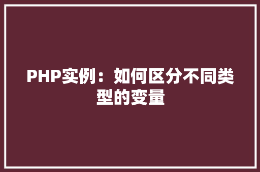 PHP实例：如何区分不同类型的变量