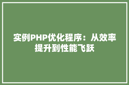 实例PHP优化程序：从效率提升到性能飞跃 职场应用