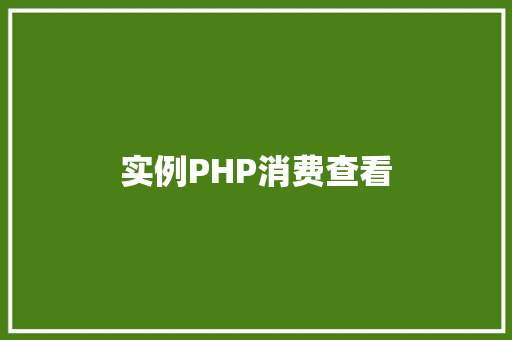实例PHP消费查看