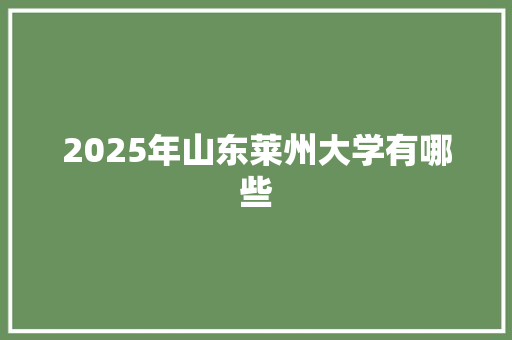 2025年山东莱州大学有哪些