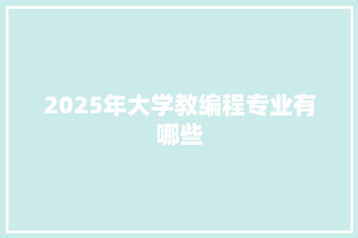 2025年大学教编程专业有哪些