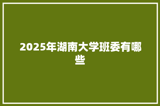 2025年湖南大学班委有哪些
