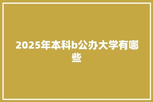 2025年本科b公办大学有哪些