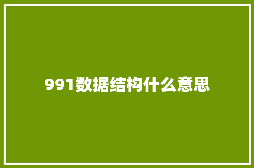 991数据结构什么意思