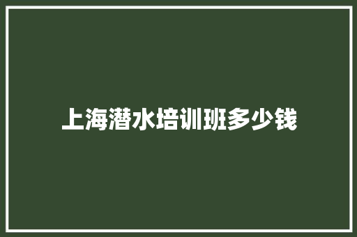 上海潜水培训班多少钱