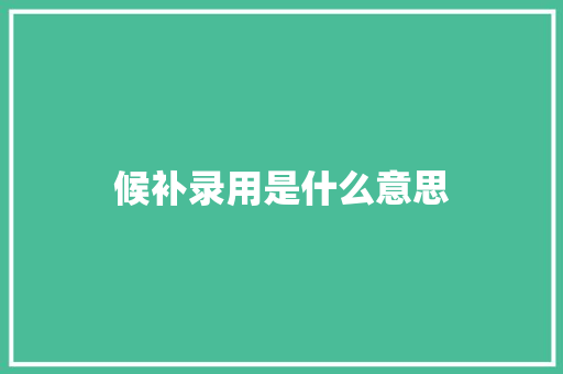 候补录用是什么意思 职场应用