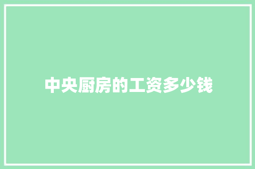 中央厨房的工资多少钱 项目管理范文