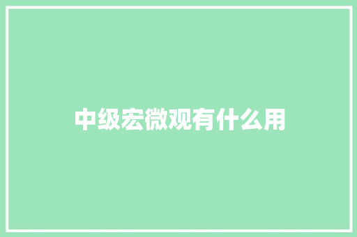 中级宏微观有什么用 职场应用