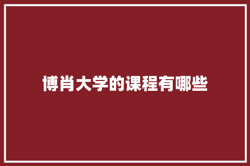 博肖大学的课程有哪些 职场应用