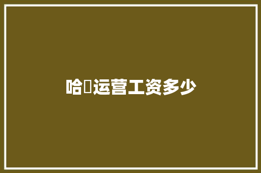 哈啰运营工资多少 职场应用