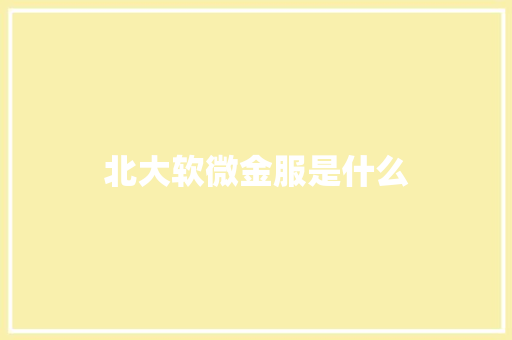 北大软微金服是什么 科技报告范文