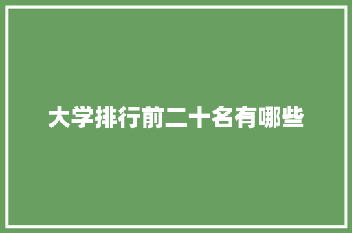 大学排行前二十名有哪些