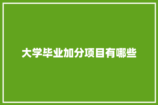 大学毕业加分项目有哪些