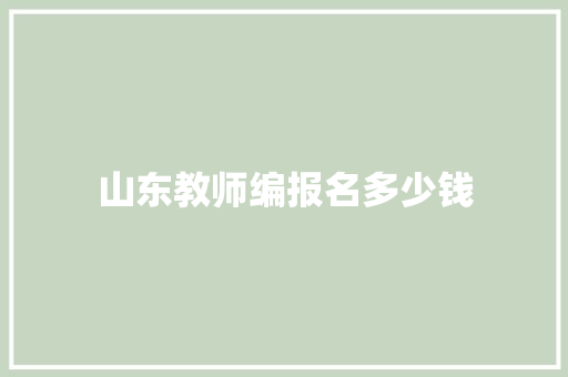 山东教师编报名多少钱
