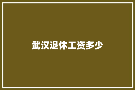 武汉退休工资多少