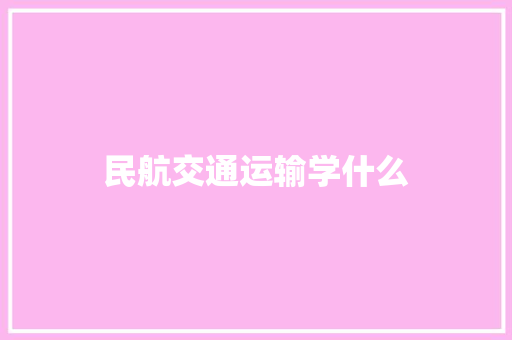民航交通运输学什么 财务报告范文