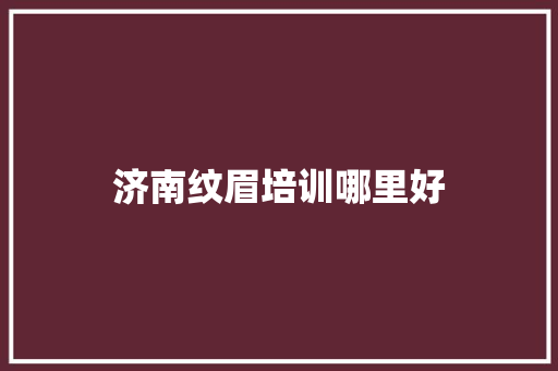 济南纹眉培训哪里好 职场应用