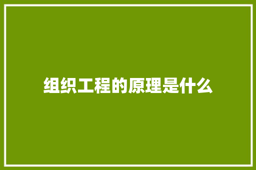 组织工程的原理是什么