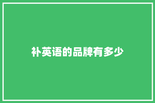 补英语的品牌有多少