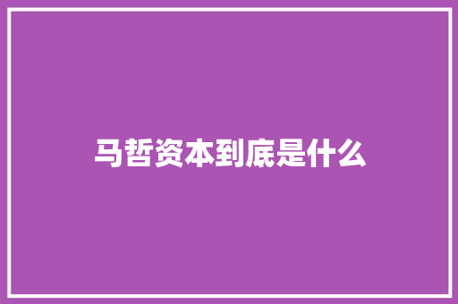 马哲资本到底是什么 项目管理范文