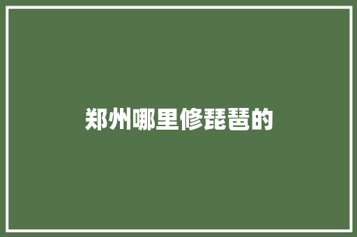 郑州哪里修琵琶的 诗句鉴赏