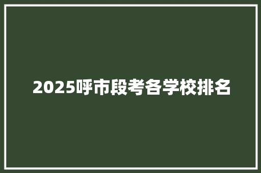 2025呼市段考各学校排名 财务报告范文