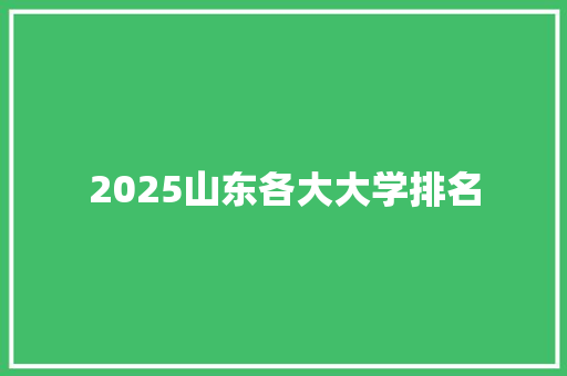 2025山东各大大学排名