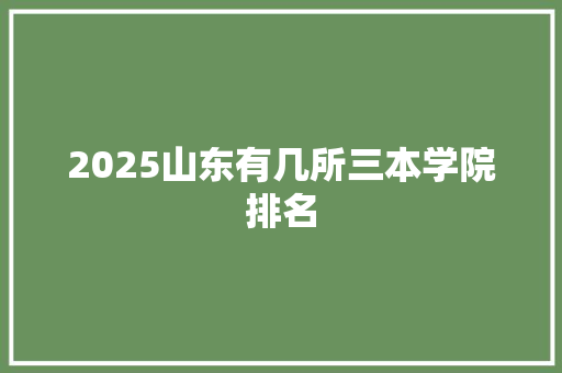 2025山东有几所三本学院排名 财务报告范文