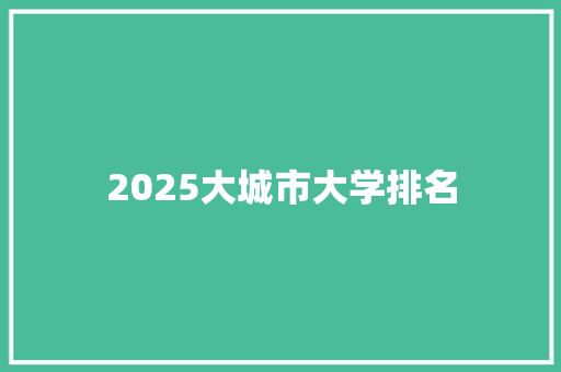 2025大城市大学排名
