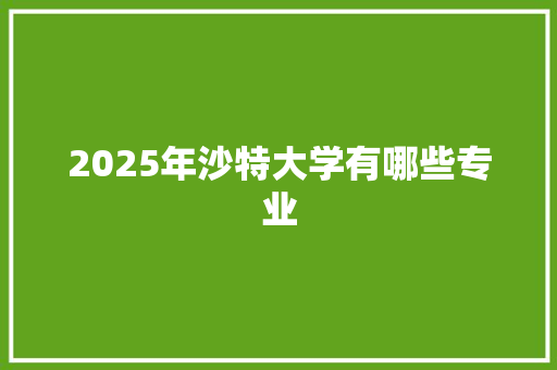 2025年沙特大学有哪些专业