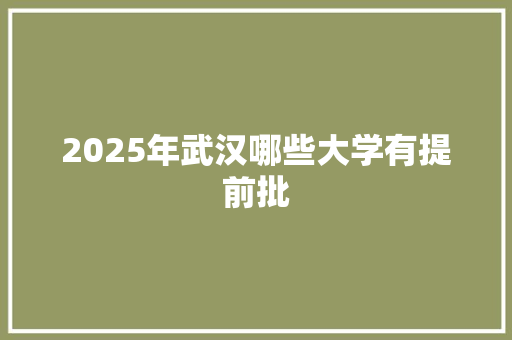 2025年武汉哪些大学有提前批