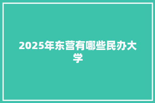 2025年东营有哪些民办大学