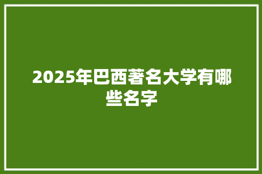 2025年巴西著名大学有哪些名字