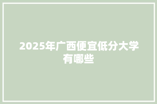2025年广西便宜低分大学有哪些