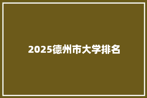 2025德州市大学排名