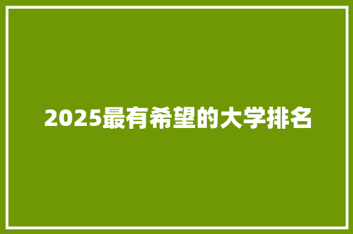 2025最有希望的大学排名 财务报告范文