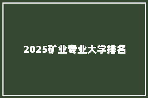 2025矿业专业大学排名