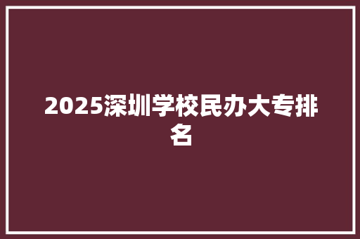 2025深圳学校民办大专排名 职场应用