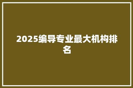 2025编导专业最大机构排名