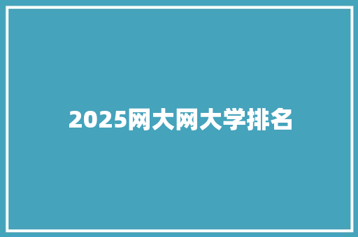 2025网大网大学排名