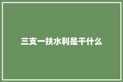 三支一扶水利是干什么