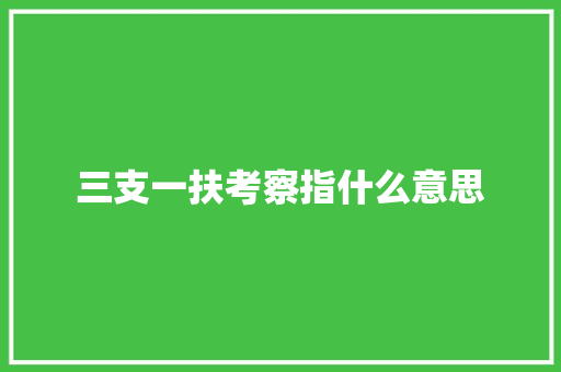 三支一扶考察指什么意思