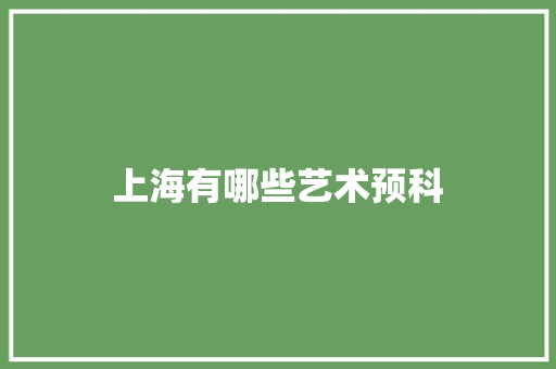 上海有哪些艺术预科