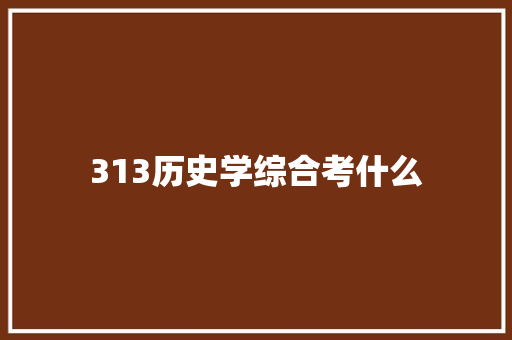 313历史学综合考什么