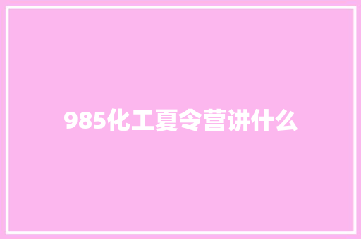 985化工夏令营讲什么
