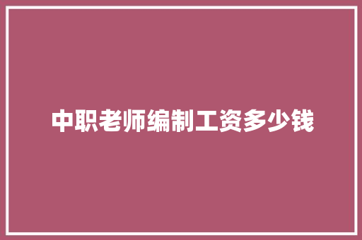 中职老师编制工资多少钱