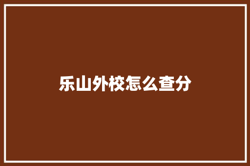 乐山外校怎么查分